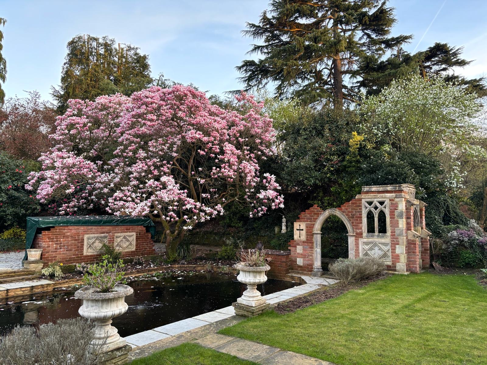A beautifully landscaped British garden with a pond, flowering magnolia and ornate brickwork